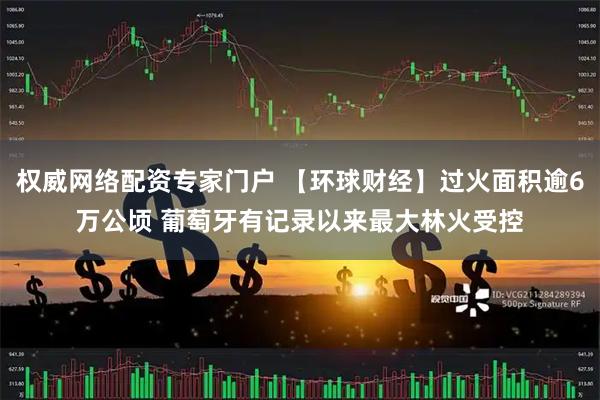 权威网络配资专家门户 【环球财经】过火面积逾6万公顷 葡萄牙有记录以来最大林火受控
