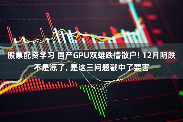 股票配资学习 国产GPU双雄跌懵散户! 12月阴跌不是凉了, 是这三问题戳中了要害