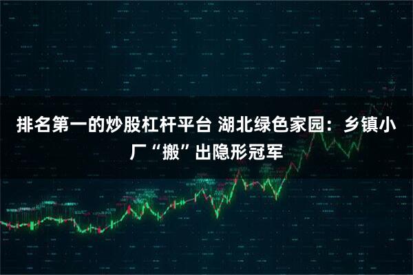 排名第一的炒股杠杆平台 湖北绿色家园：乡镇小厂“搬”出隐形冠军