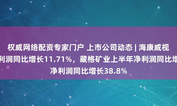 权威网络配资专家门户 上市公司动态 | 海康威视上半年净利润同比增长11.71%，藏格矿业上半年净利润同比增长38.8%