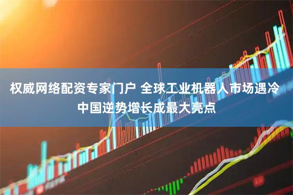 权威网络配资专家门户 全球工业机器人市场遇冷 中国逆势增长成最大亮点